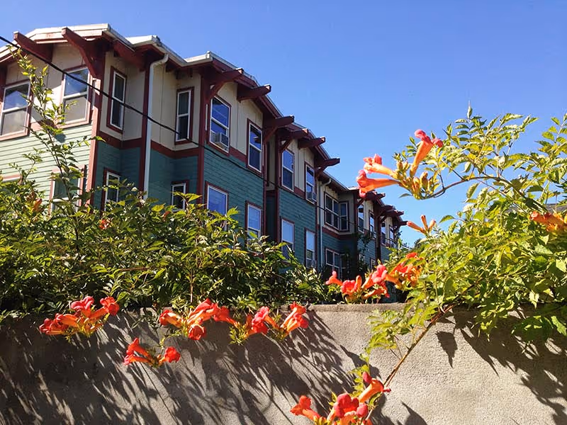 Exterior view of a multi-story residential building with green and beige siding, red trim, and multiple windows under a clear blue sky. In the foreground, there is a concrete wall with vibrant orange trumpet-shaped flowers and green foliage.