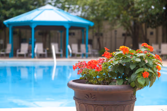 A close-up of a large brown flower pot with red and orange flowers in front of a swimming pool. In the background, there is a blue gazebo with several lounge chairs around the pool area, surrounded by trees.