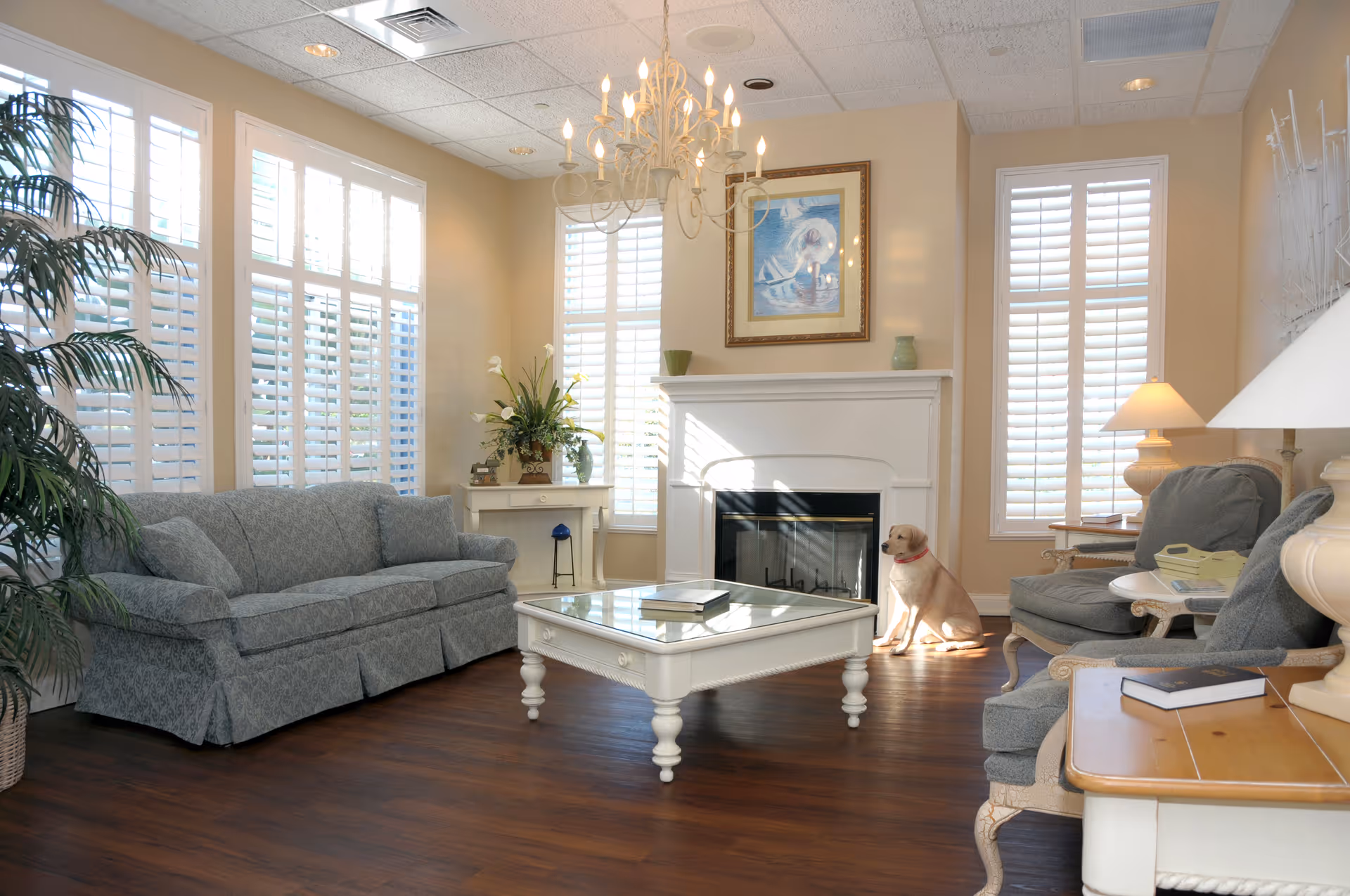 A bright and cozy living room with large windows covered by white shutters, a gray patterned sofa, two gray armchairs, a white coffee table with a glass top, a white fireplace with a framed painting above it, a chandelier hanging from the ceiling, and a dog sitting near the fireplace on a wooden floor.