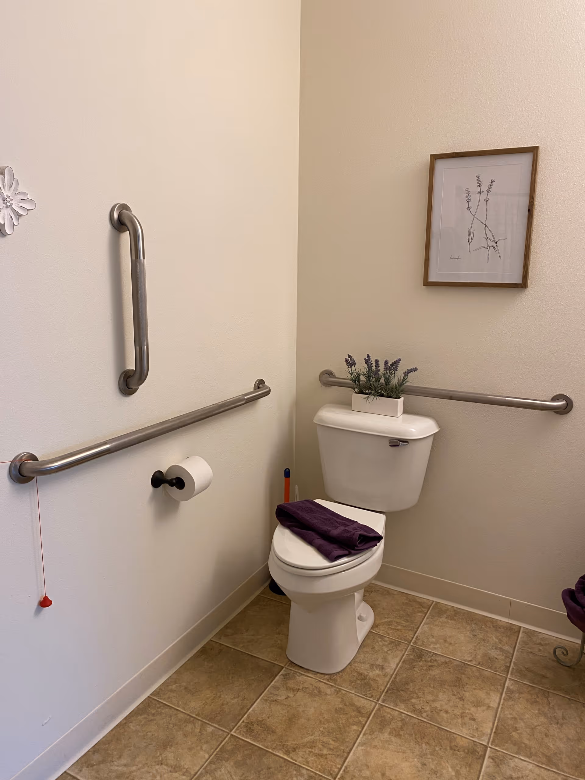 A clean bathroom with beige tiled floor and cream-colored walls. There is a white toilet with a purple towel folded on the seat and a small potted plant on the tank. Stainless steel grab bars are mounted on the walls around the toilet. A framed botanical drawing hangs on the wall above the toilet. A toilet paper holder with a roll of toilet paper is mounted on the left wall, and a red emergency pull cord hangs nearby.