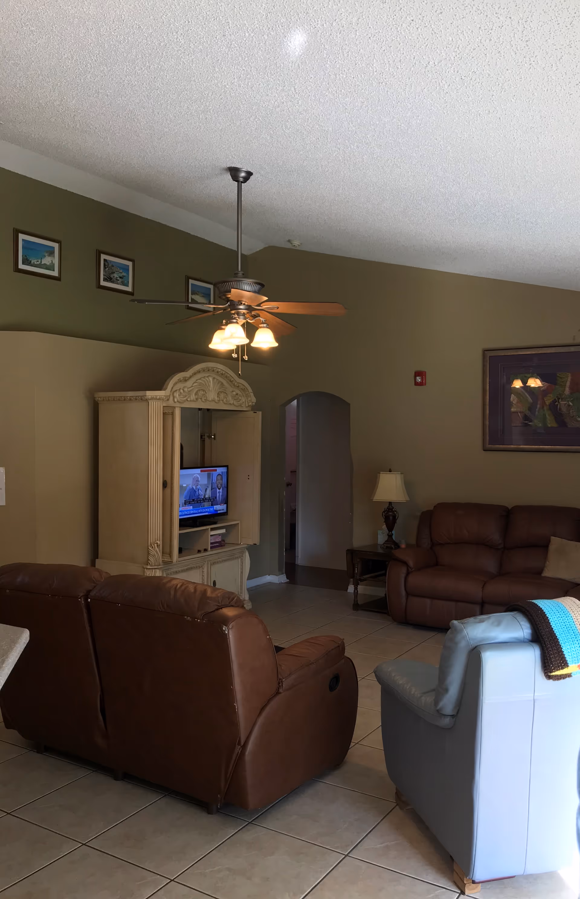 A living room with brown leather sofas, a light blue armchair with a colorful blanket draped over the back, a wooden entertainment cabinet with a TV showing a news program, a ceiling fan with lights, a side table with a lamp, and framed pictures on olive green walls.
