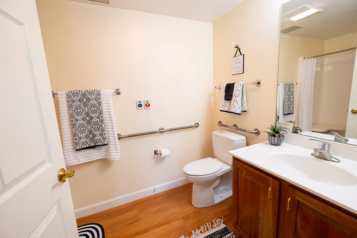 Well-lit accessible bathroom with a toilet, vanity sink and mirror, grab bars, towel racks, and a shower.