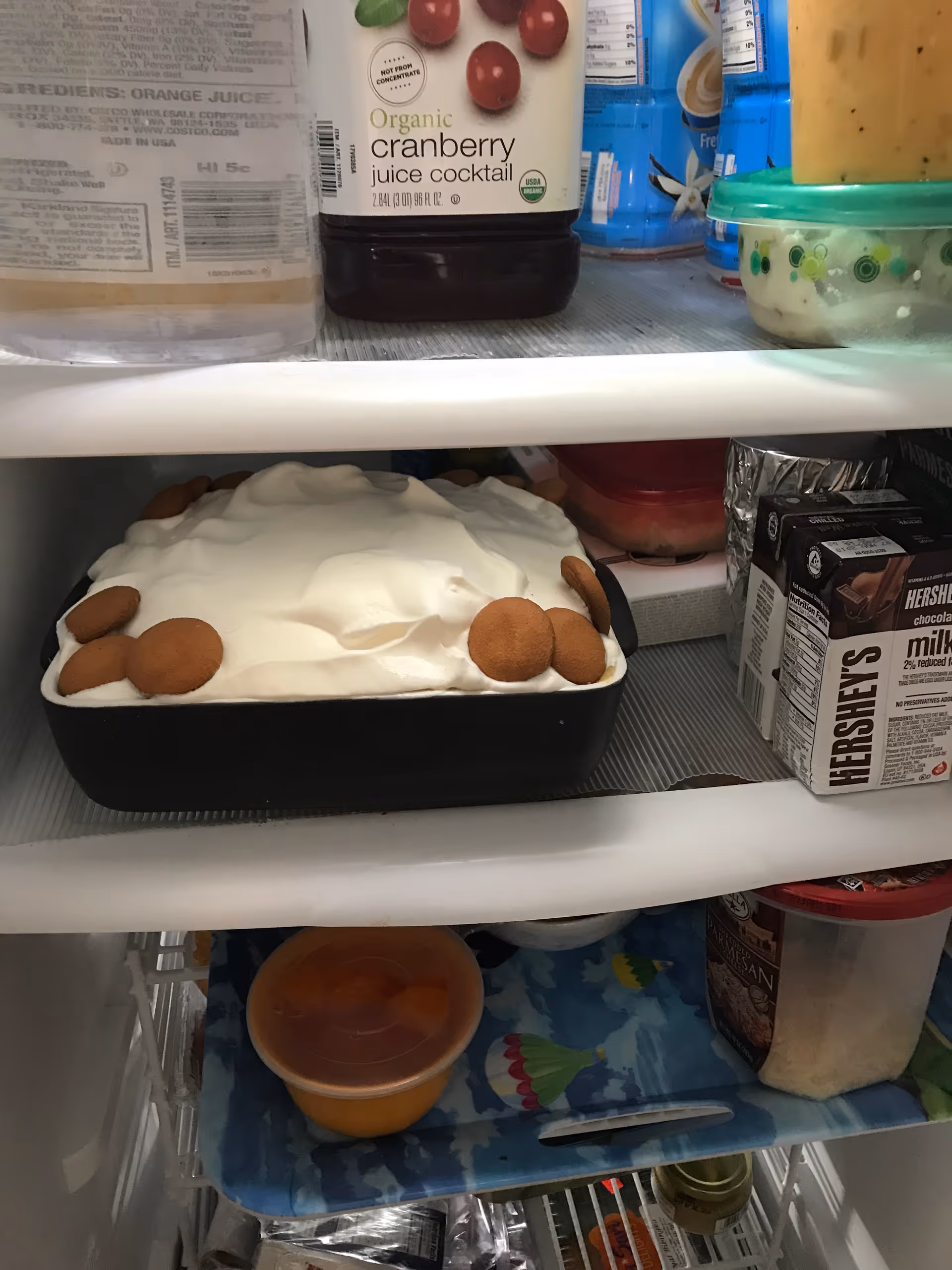 Inside a refrigerator showing a whipped-cream topped dessert decorated with vanilla wafers, along with juice bottles, milk cartons and food containers on the shelves.
