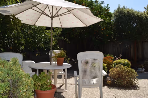 Outdoor patio with a round table, umbrella, and plastic chairs among potted plants.