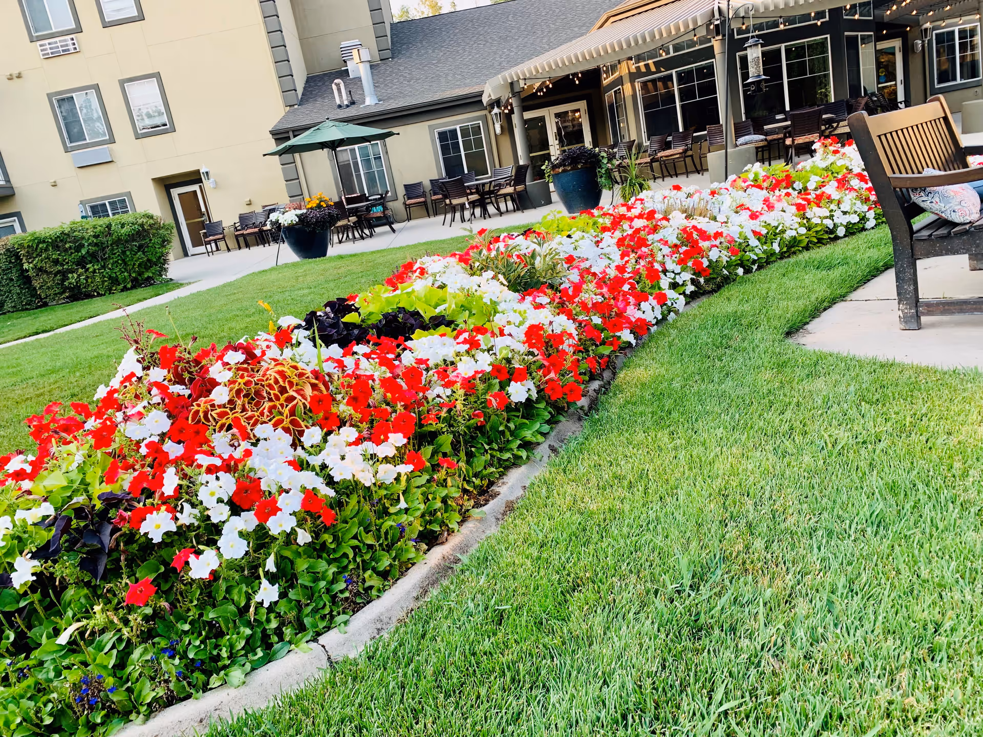 A vibrant flower bed with red, white, and green plants in front of a building with outdoor seating, tables, and umbrellas. The area is surrounded by well-maintained green grass and a wooden bench with a cushion is visible on the right side.