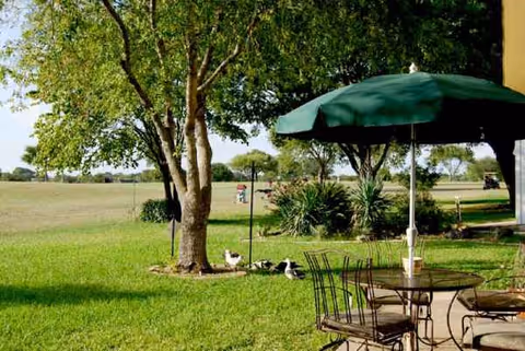 Outdoor patio with metal chairs and table under a green umbrella beside trees and grass.