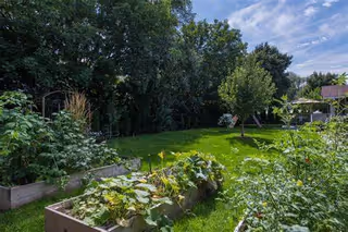 A lush outdoor garden area with raised planting beds filled with various green plants and vegetables. In the background, there are trees and a grassy lawn under a partly cloudy blue sky.