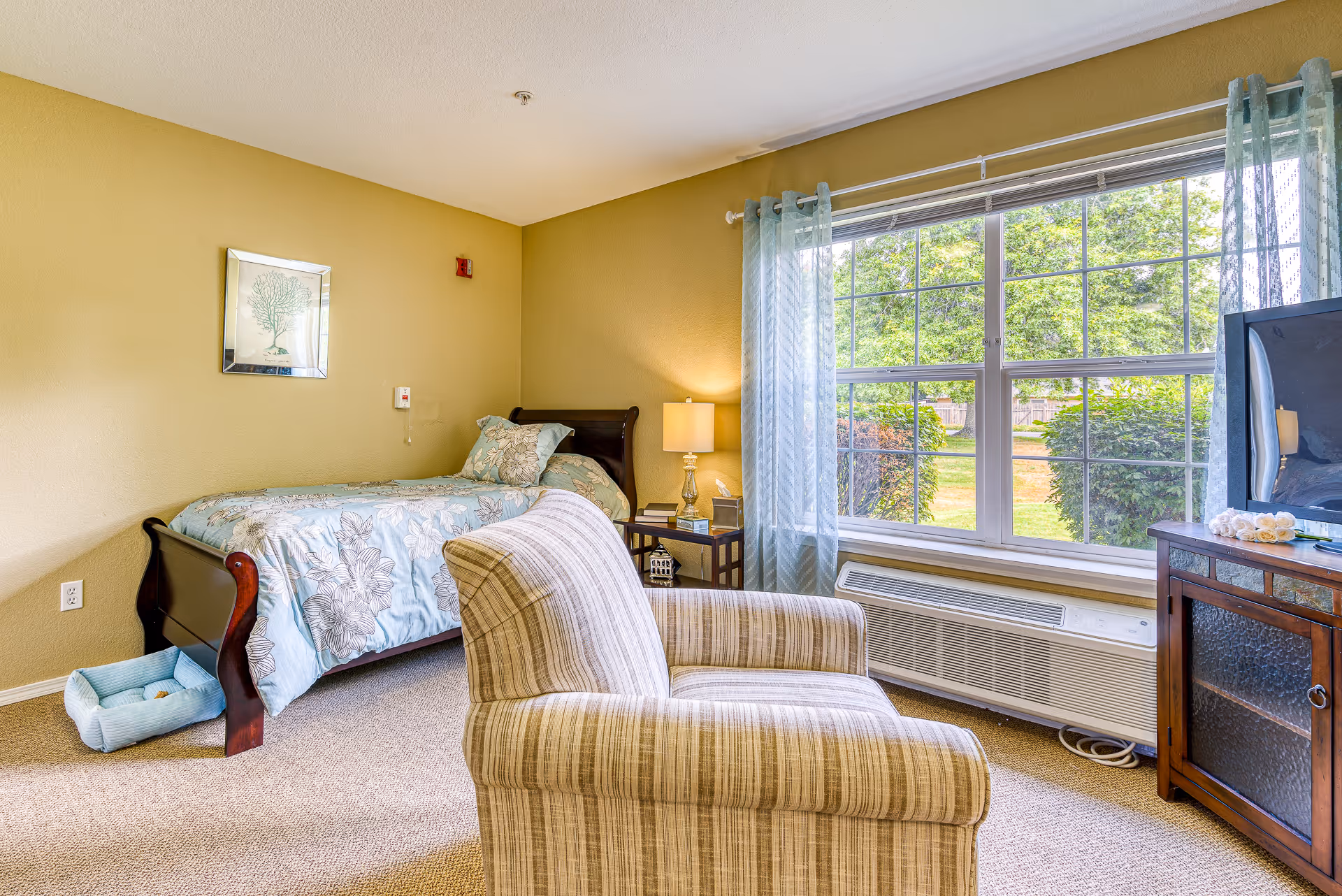 Sunlit bedroom with a twin bed, striped armchair, large window overlooking greenery, nightstand with a lamp and a TV on a cabinet.