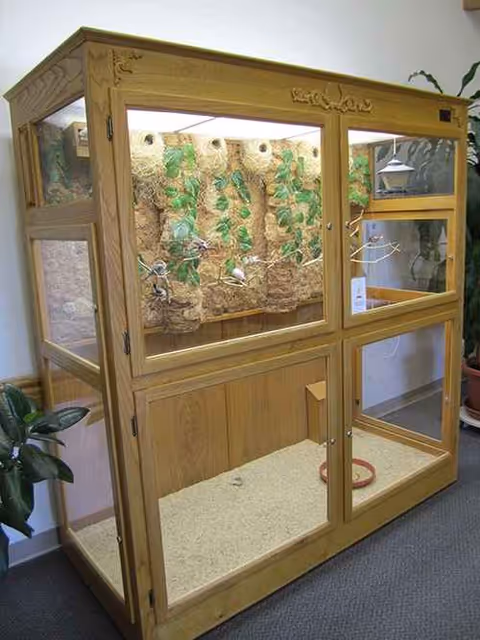 Large wooden indoor animal enclosure with glass panes, vines, and perches inside Hilltop Estates.