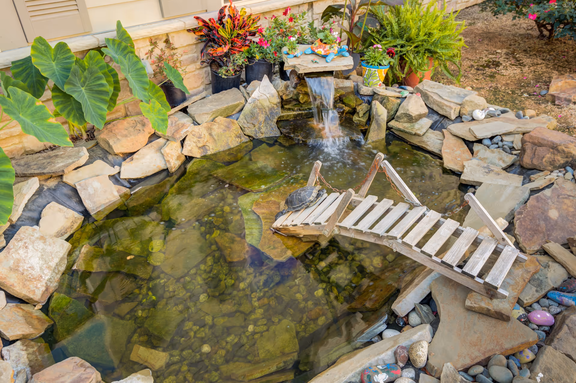 A small outdoor pond with clear water, surrounded by large rocks and various potted plants. A wooden bridge crosses part of the pond, and a turtle is resting on the bridge. Water flows from a small waterfall feature into the pond.