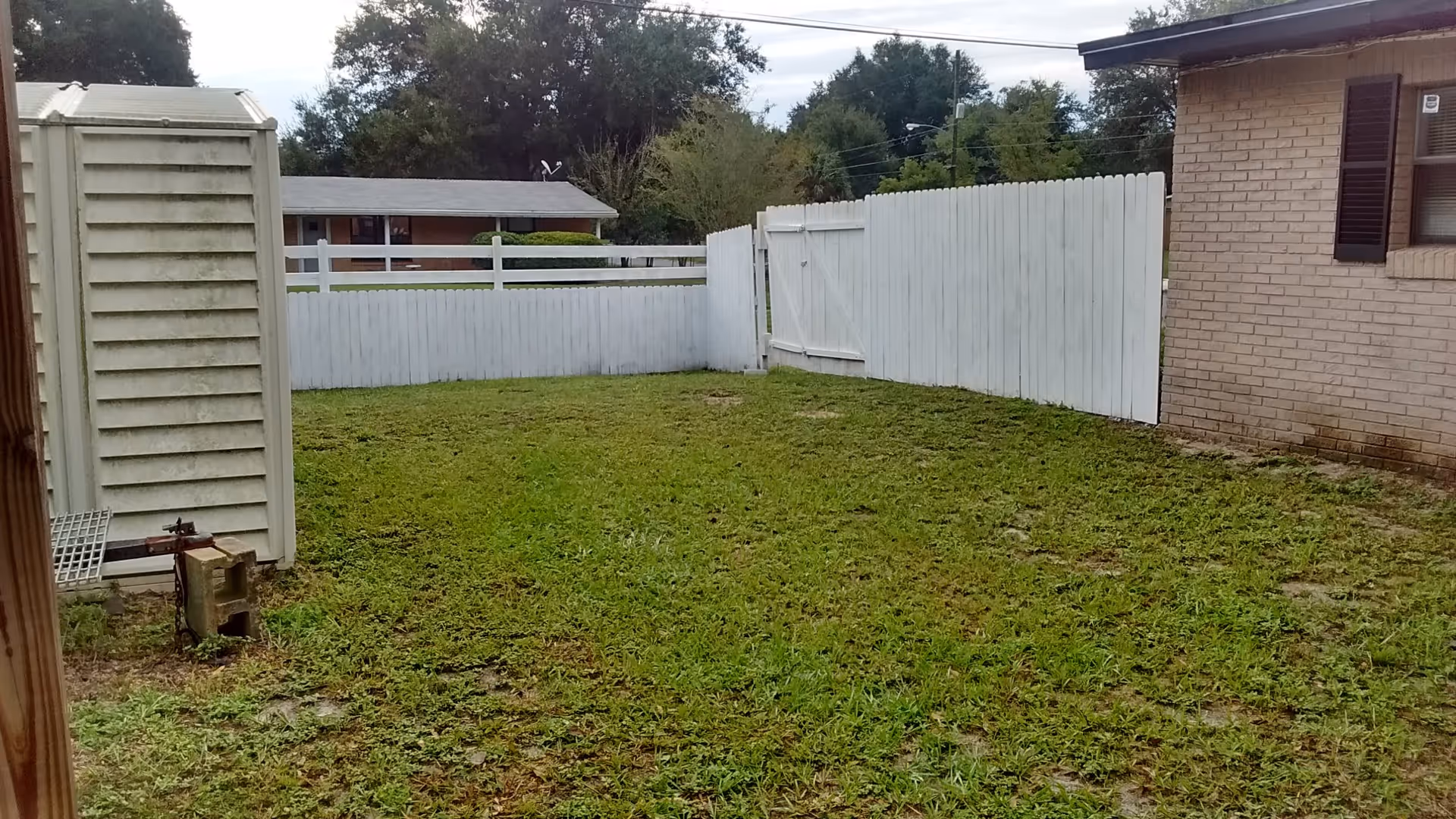 A small grassy fenced backyard with a white wooden fence, a shed on the left, and a brick house wall on the right.