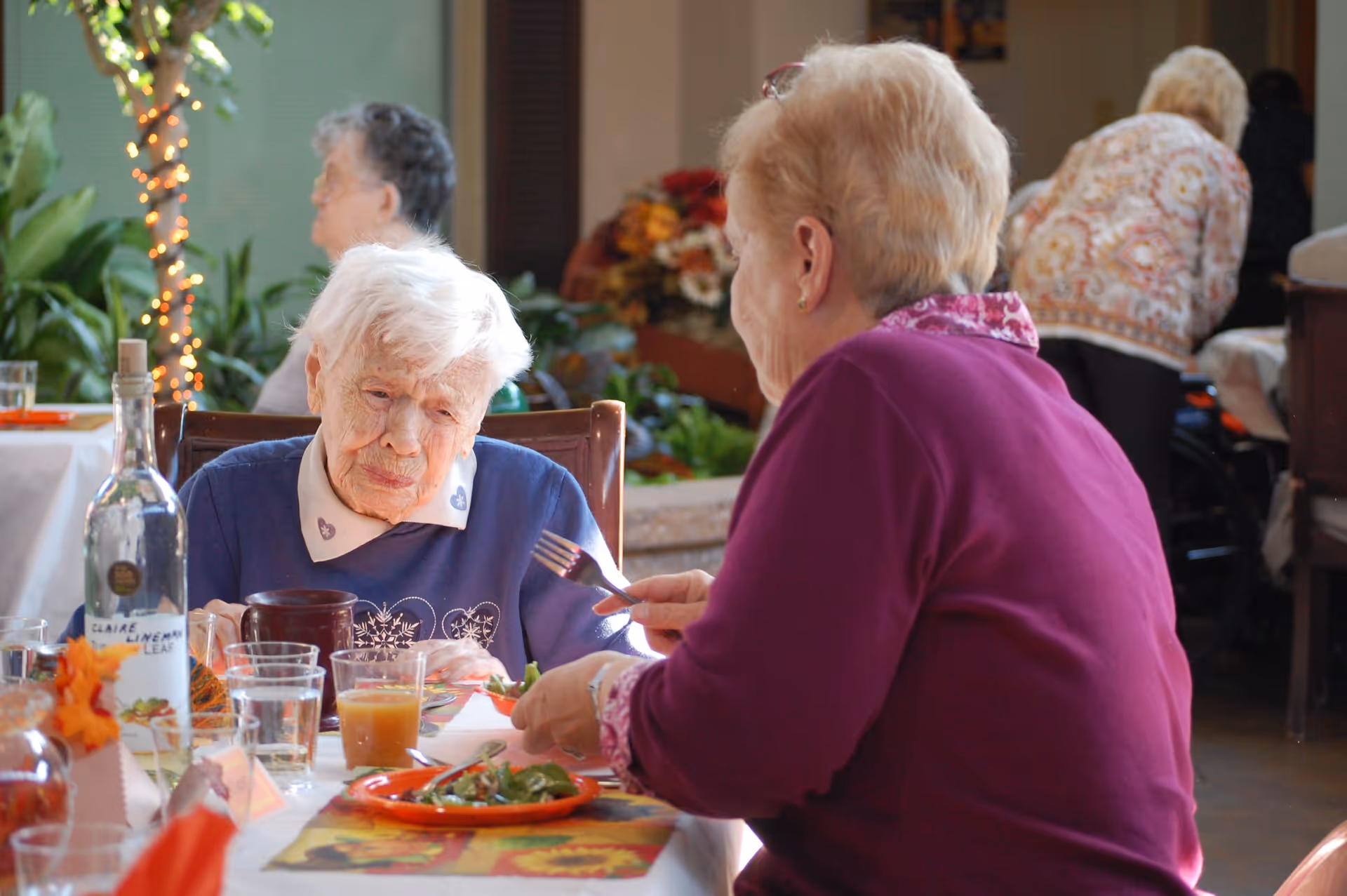 Two elderly women sitting at a dining table in a senior living facility, one woman wearing a blue sweater with white hair looking down at her plate, and the other woman in a purple sweater holding a fork and engaging with her. The table has plates with food, glasses of water and juice, and a bottle. There are plants and other people in the background.