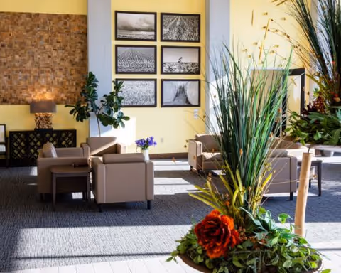 Sunlit senior living lounge with beige armchairs, framed wall photos, and large potted plants in the foreground.
