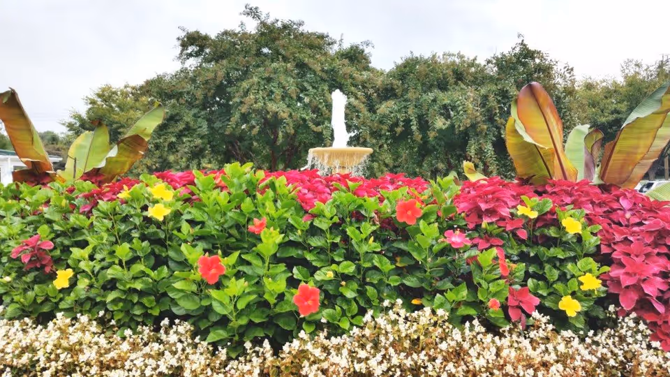 Colorful flower bed with pink and yellow blooms and a fountain in front of trees.