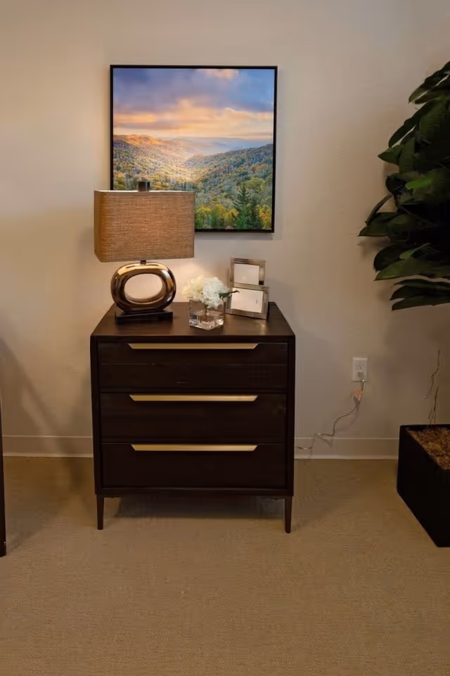 A dark wooden dresser with three drawers, topped with a modern oval-shaped lamp, a small vase with white flowers, and two empty picture frames. Above the dresser hangs a framed landscape photograph of a sunlit valley with trees and hills. To the right, there is a large green plant in a black rectangular planter. The room has beige carpet and light-colored walls.