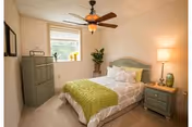 A cozy bedroom with a neatly made bed featuring a green throw blanket and multiple pillows. The room includes a green dresser, a matching nightstand with a lamp, a ceiling fan with a light fixture, a window with blinds, and a potted plant in the corner.