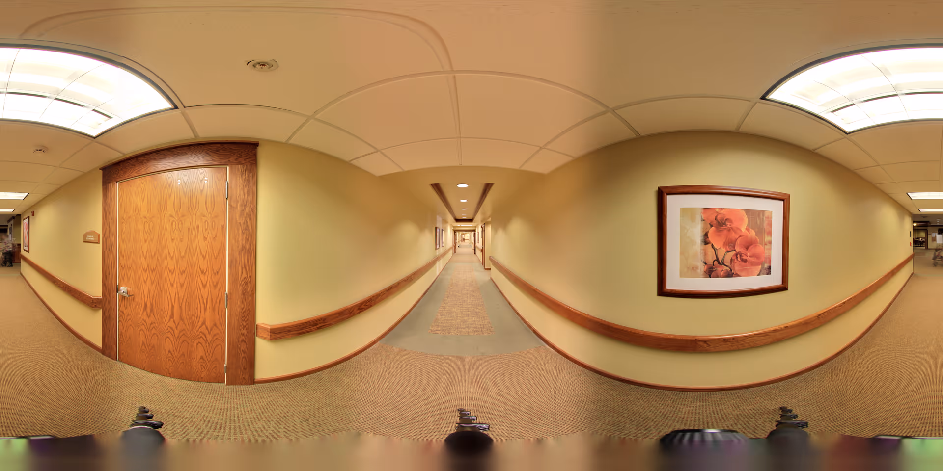 A long, well-lit hallway in a senior living facility with beige walls and carpeted floors. The hallway features wooden handrails on both sides and a framed floral painting on the right wall. There are wooden doors on the left side and ceiling lights providing illumination.