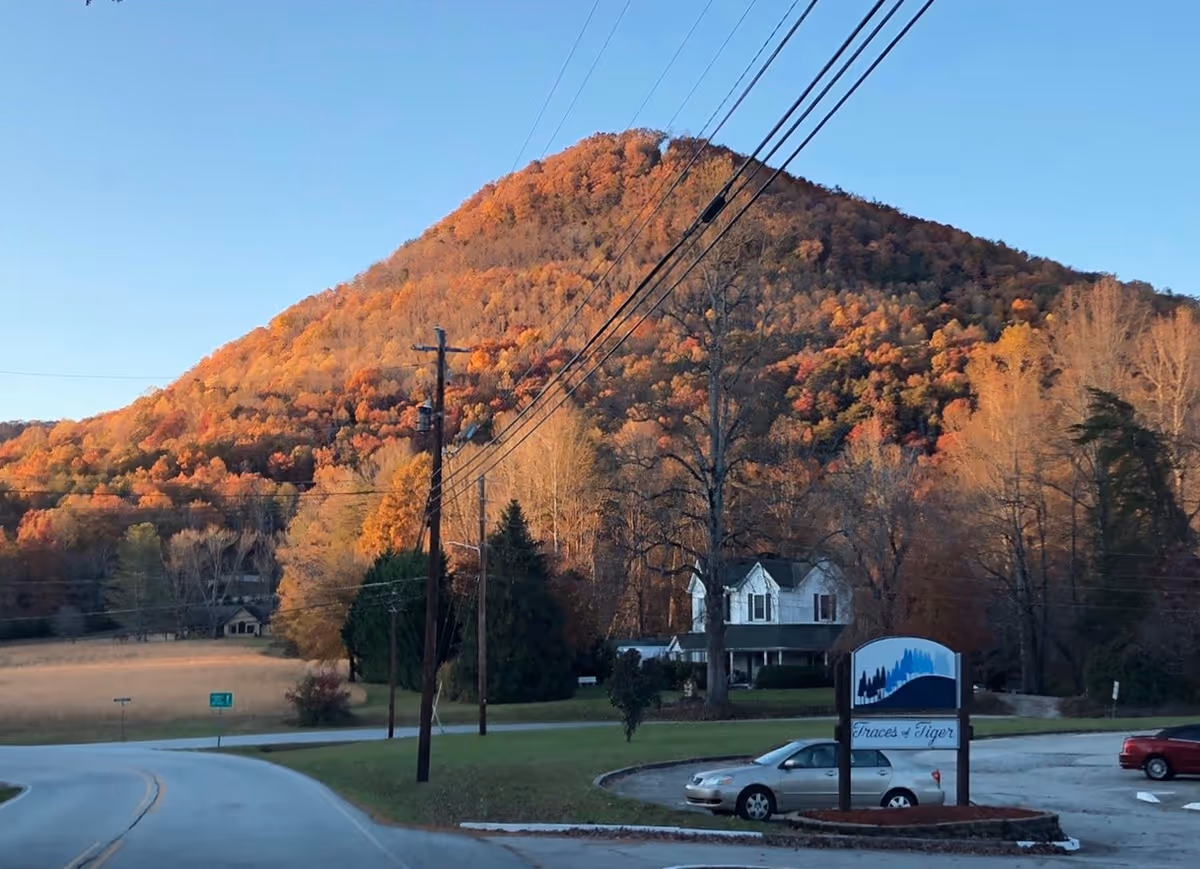 A scenic view of a mountain covered with autumn-colored trees under a clear blue sky. In the foreground, there is a road curving to the left, a few parked cars, and a sign that reads 'Traces of Tiger' near a white house partially obscured by trees.