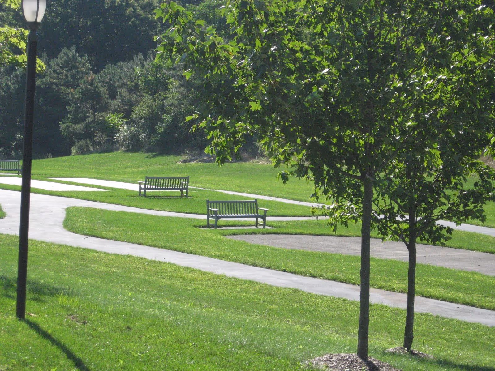 A peaceful outdoor park area with green grass, paved walking paths, several wooden benches, a streetlamp, and trees providing shade.