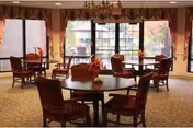 A well-lit dining room with round wooden tables and cushioned chairs arranged neatly. Large windows with curtains allow natural light to fill the room, and small floral centerpieces decorate each table.