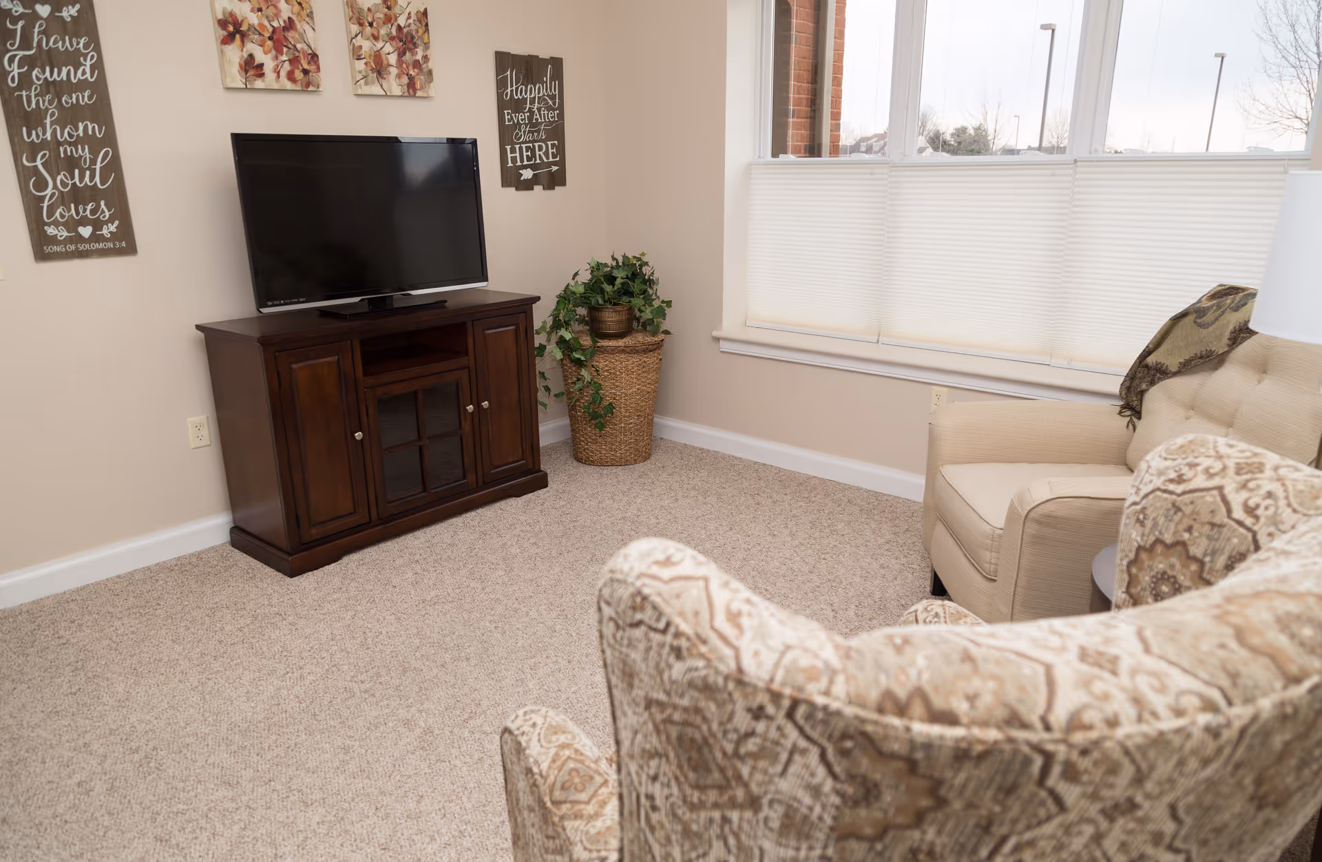 Cozy living room with patterned armchairs, a TV on a wooden stand, a potted plant, and a large window.