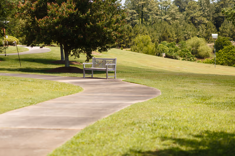 A winding concrete pathway through a grassy area with a wooden bench under a leafy tree. The background shows more trees and greenery under a clear sky.