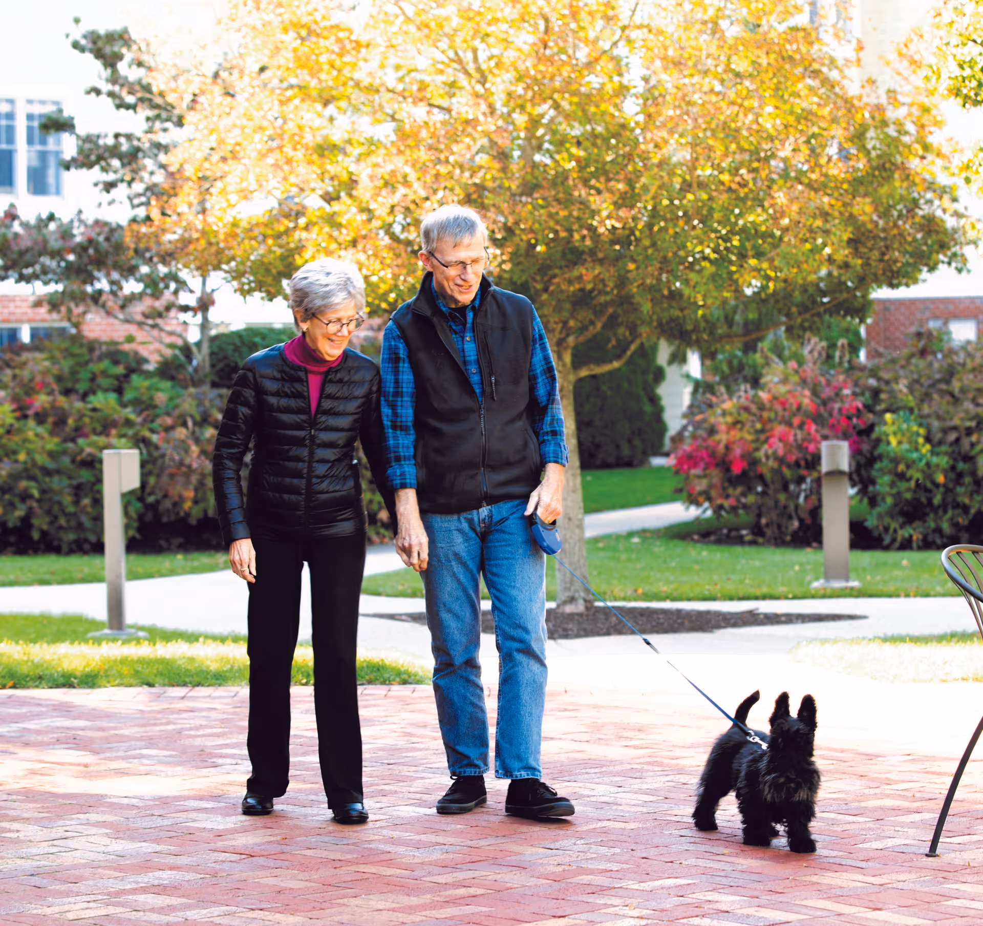 An elderly couple walking a small black dog on a leash outdoors on a brick pathway with green grass, trees, and bushes in the background.