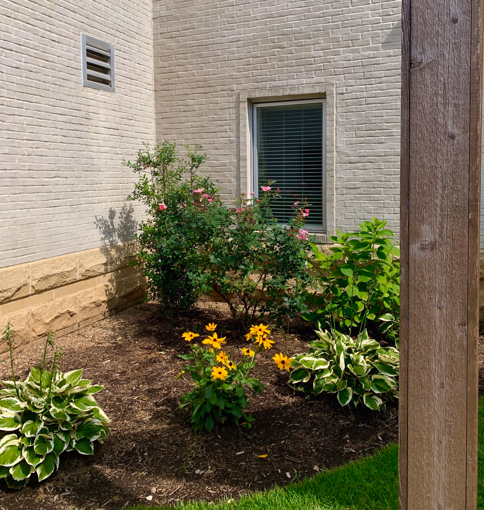 A small garden area with yellow and pink flowers, green leafy plants, and a mulched bed in front of a beige brick wall with a window and a vent. A wooden post is visible on the right side of the image.