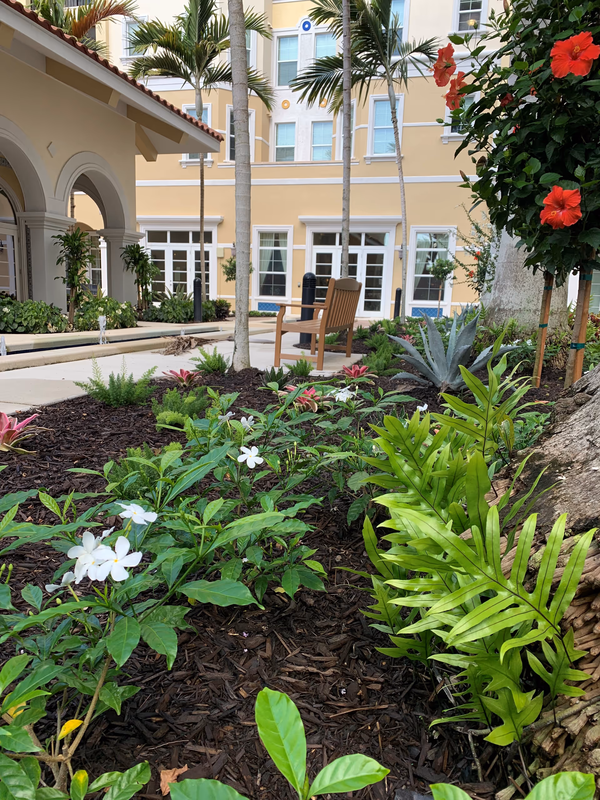 A landscaped outdoor garden area at The Terraces at Bonita Springs featuring various green plants, white and red flowers, palm trees, and a wooden chair on a paved pathway. The background shows a yellow and white building with multiple windows and doors.