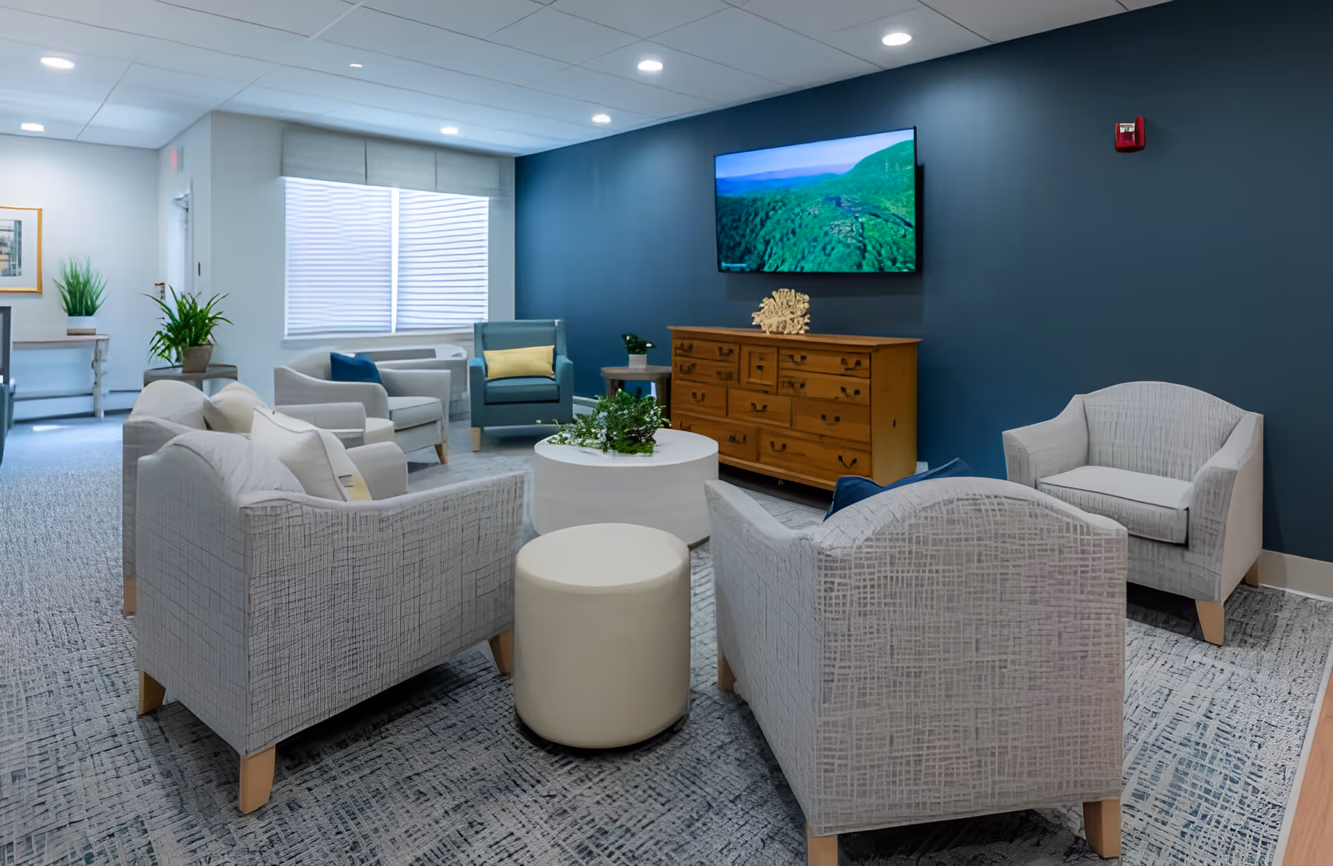 A cozy living room area with multiple armchairs and a small round ottoman arranged around a white circular coffee table with plants on it. A wooden dresser is against a dark blue wall with a flat-screen TV mounted above it displaying a nature scene. The room has a large window with blinds, light-colored carpet, and ceiling lights.