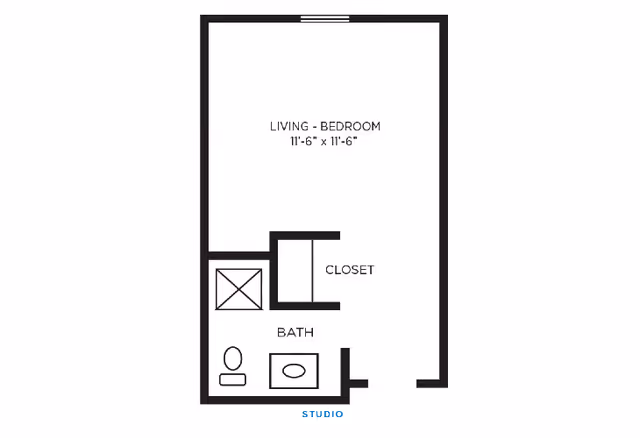 Floor plan of a studio apartment showing a combined living and bedroom area measuring 11 feet 6 inches by 11 feet 6 inches, a closet, and a bathroom with a toilet and sink.