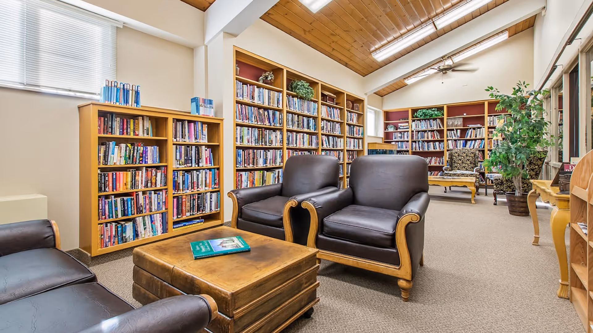 A cozy library room with wooden bookshelves filled with books along the walls. There are two black leather armchairs and a matching leather sofa arranged around a wooden coffee table with a book on it. The room has a high wooden ceiling with a ceiling fan, large windows on the right side, and a potted plant near the back.