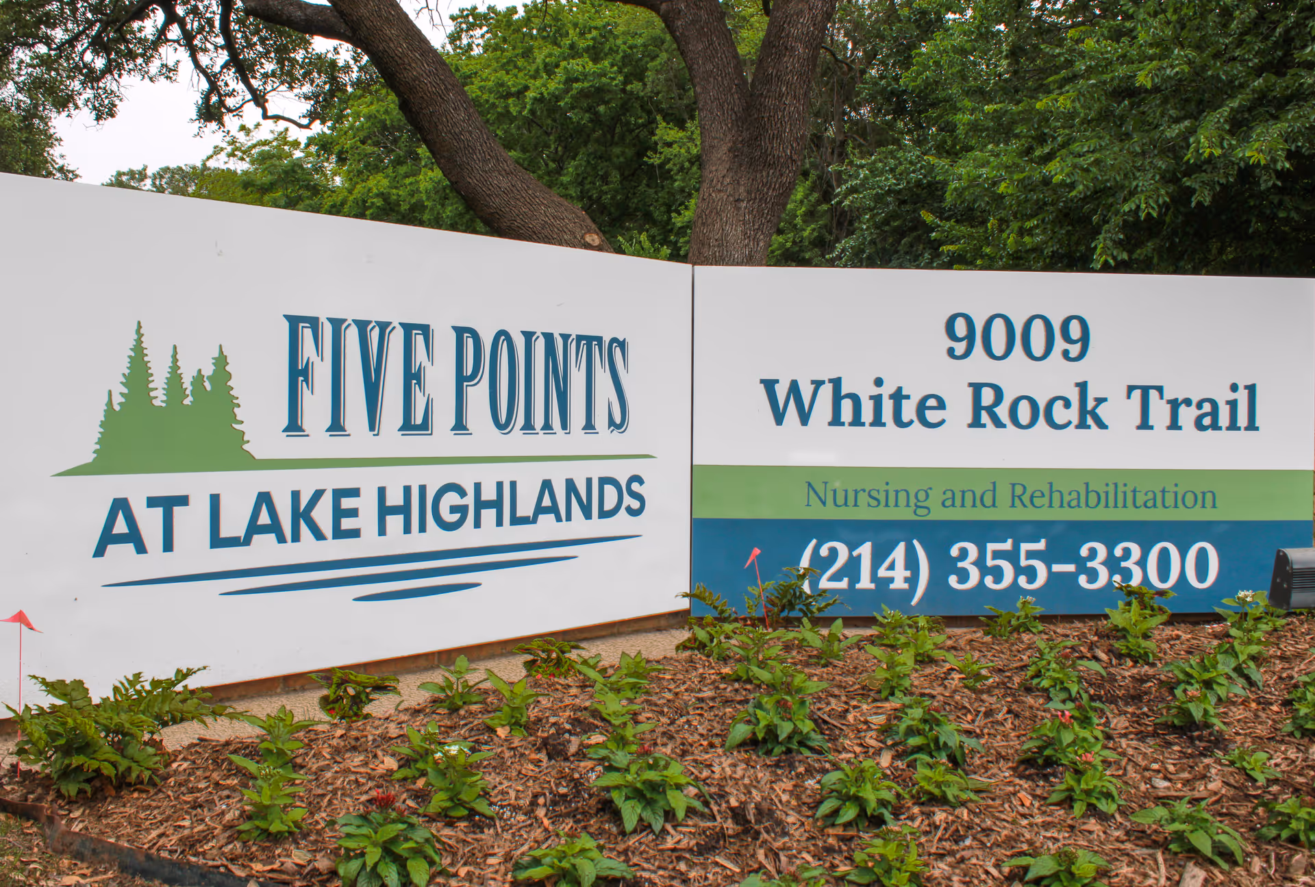 Outdoor sign for Five Points at Lake Highlands nursing and rehabilitation facility located at 9009 White Rock Trail, surrounded by greenery and small plants.