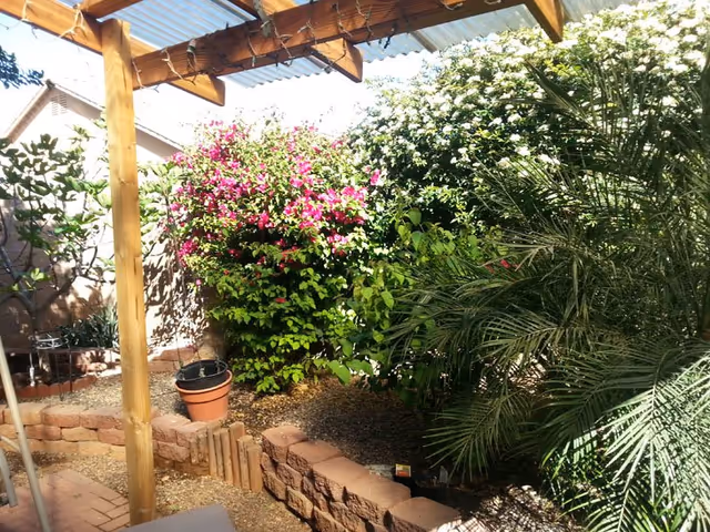 A garden area with a wooden pergola overhead, surrounded by various green plants and bushes, including a flowering bush with pink and white flowers. The ground is covered with gravel and bordered by a low brick retaining wall.