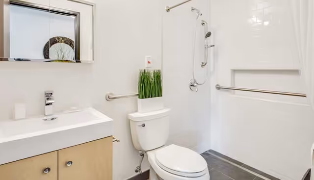 A clean and modern bathroom featuring a white toilet with a decorative plant on top, a white sink with a wooden cabinet below, a wall-mounted mirror cabinet, and a walk-in shower with a handheld showerhead and stainless steel grab bars on the walls.