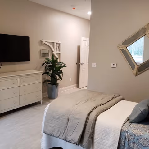 Neutral-toned bedroom featuring a bed with gray bedding, a dresser with a wall-mounted TV, a potted plant, and a decorative mirror.
