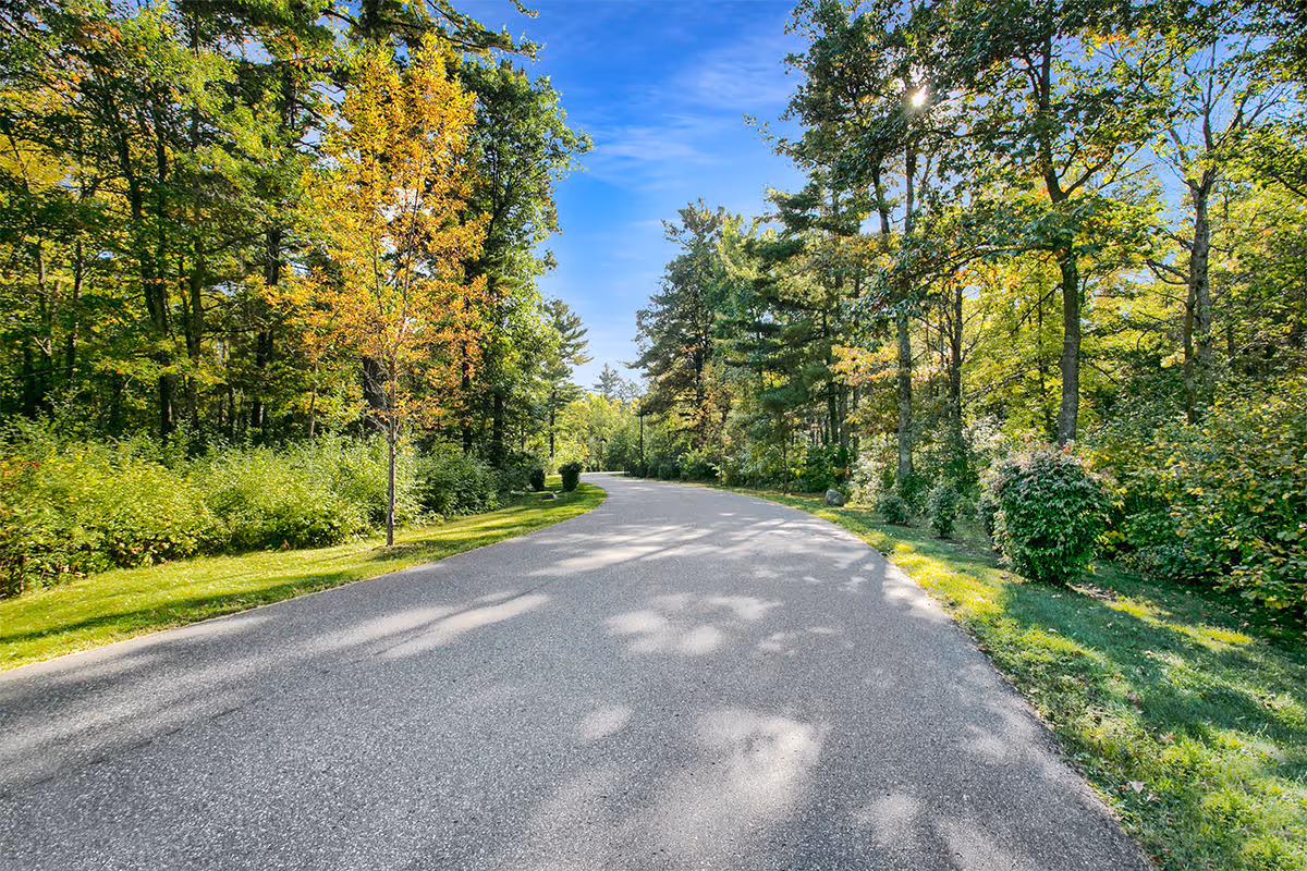 Sunlit paved road winding through a wooded landscape with trees and green grass under a blue sky.