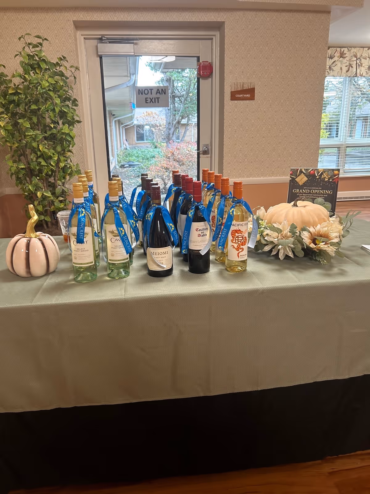 Table set up inside a facility showing multiple bottles of wine with blue ribbons, decorative pumpkins, and a 'Grand Opening' sign in front of a glass door.