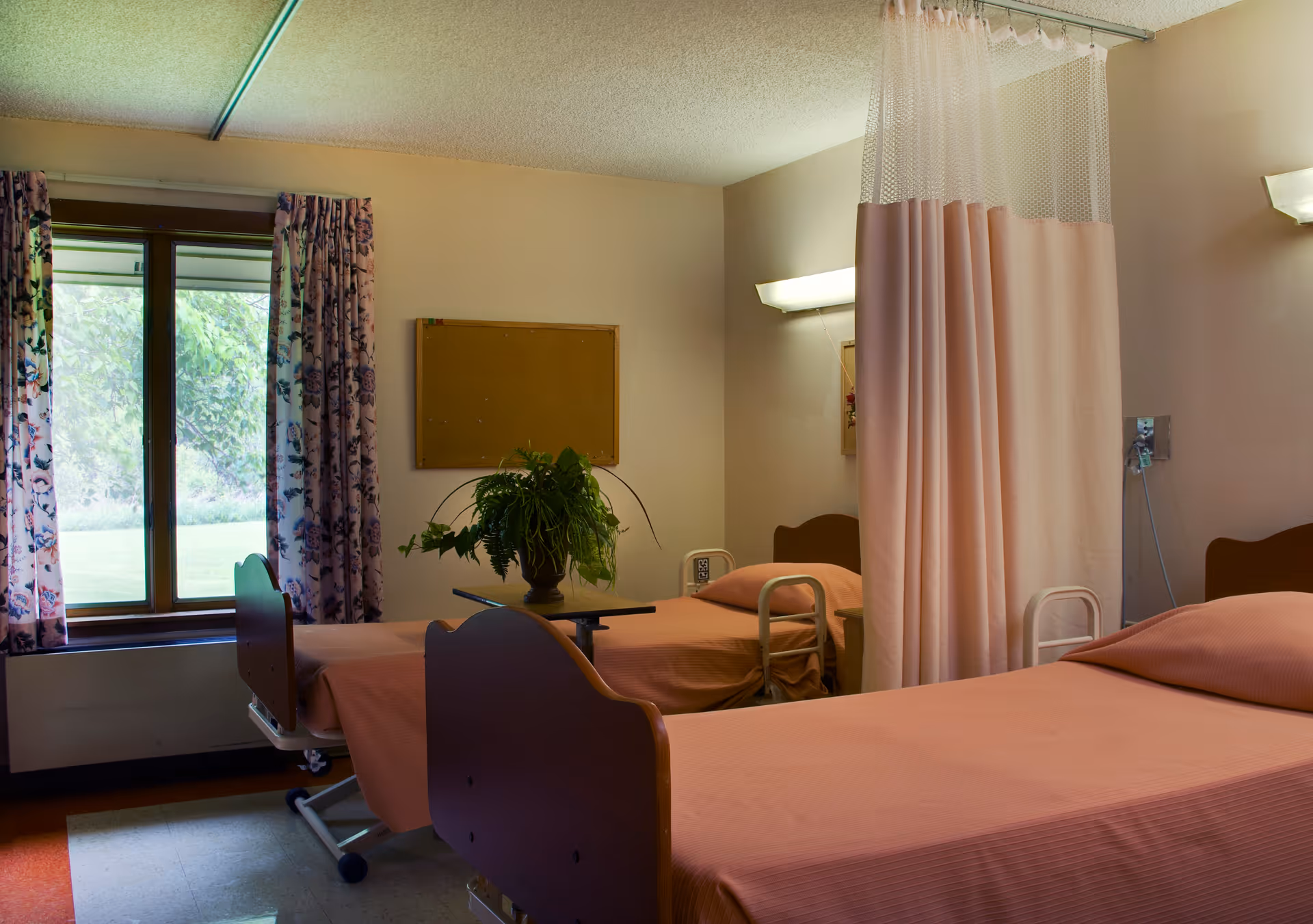 A room with two hospital-style beds separated by a pink privacy curtain. Each bed has a peach-colored bedspread and a pillow. There is a window with floral curtains on the left side, a green potted plant on a small table between the beds, and wall-mounted lights above each bed.