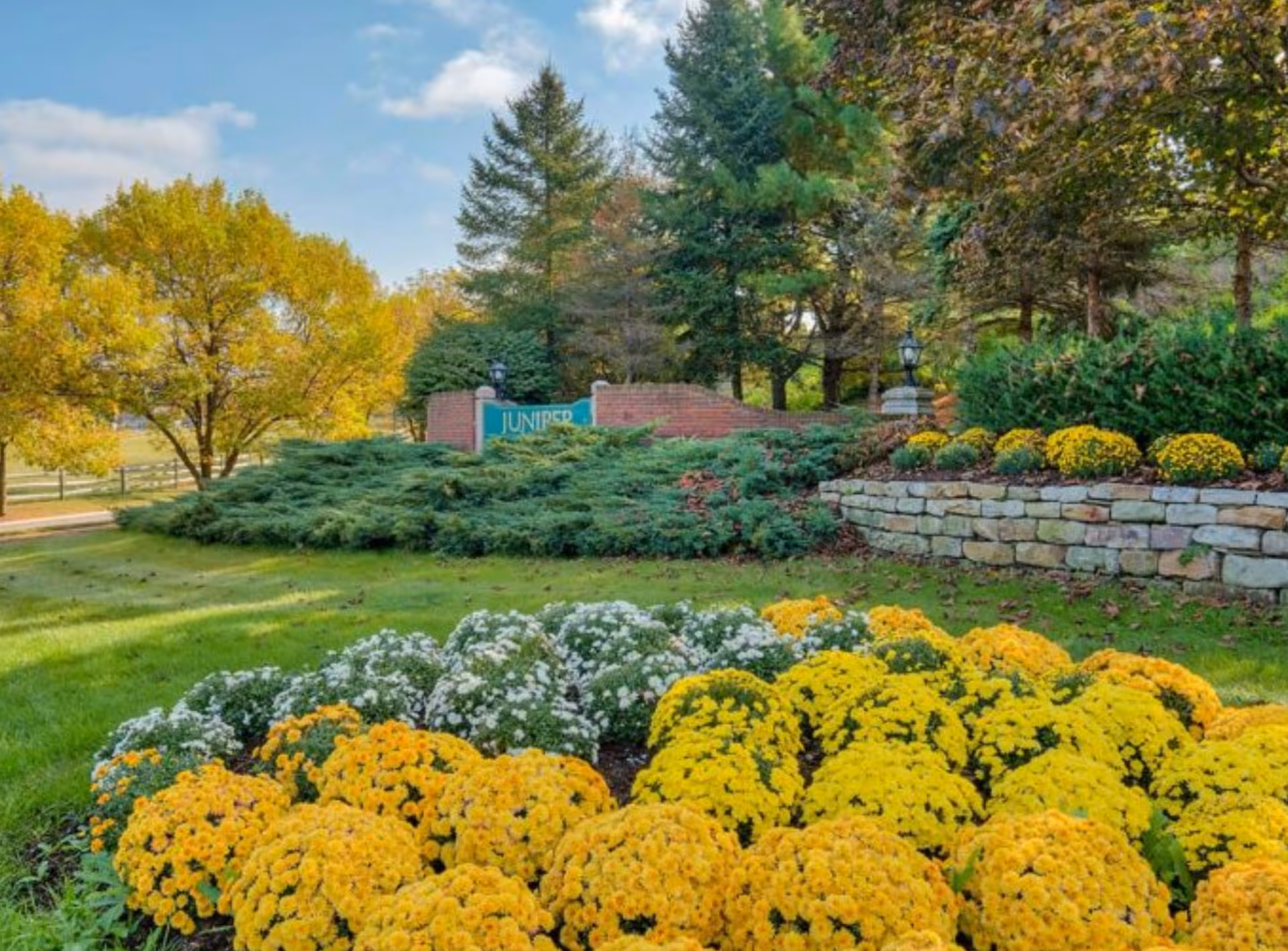 Landscaped entrance with yellow and white flowering mums, a stone retaining wall, trees and a partial green sign reading 'Juniper'.