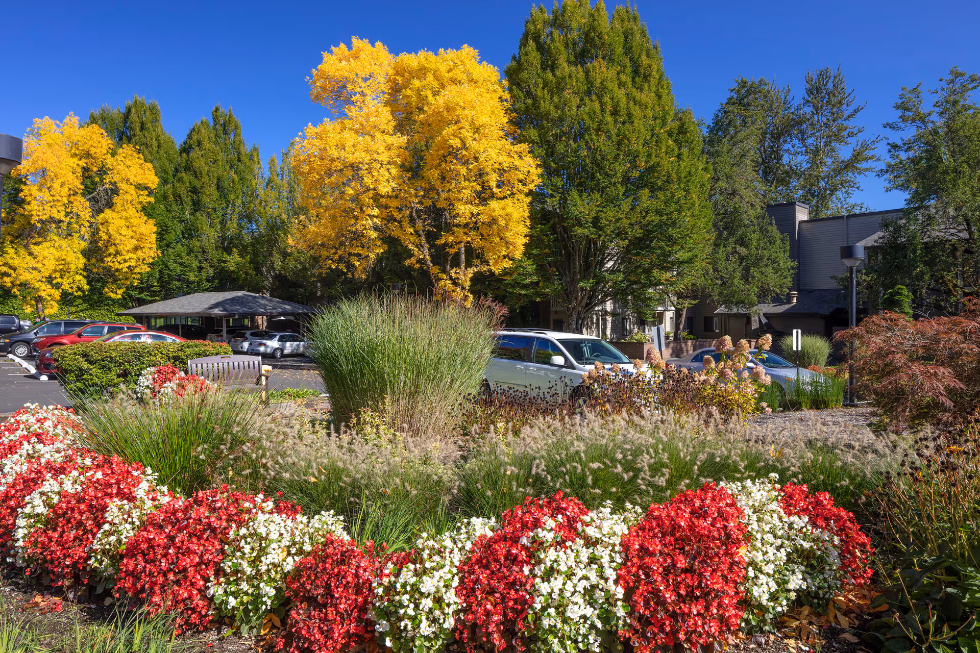 Landscaped flower beds and ornamental grasses in front of a parking area and the facade of a retirement residence under a clear blue sky.