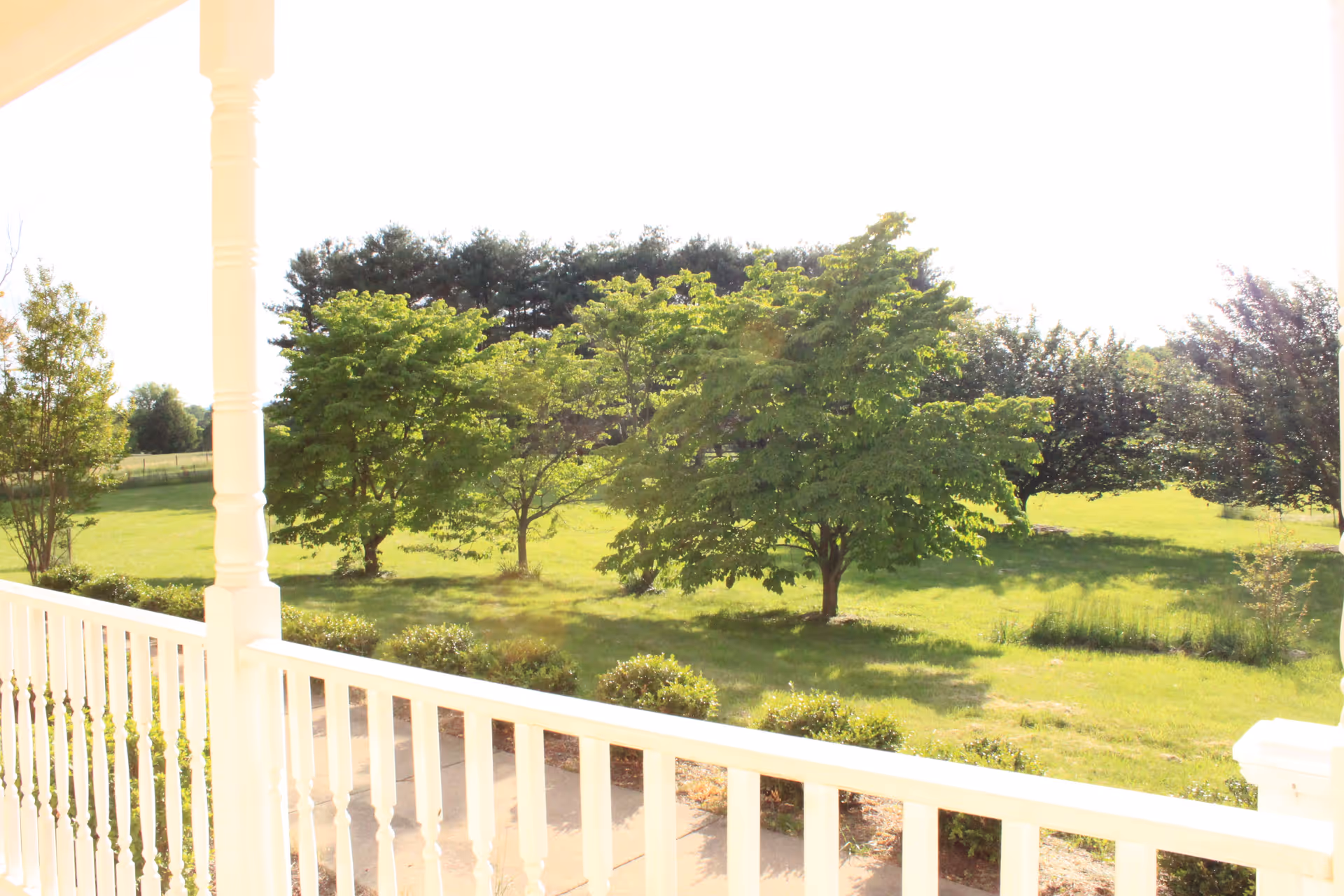 View from a white porch railing overlooking a green lawn with several trees and bushes under bright sunlight.