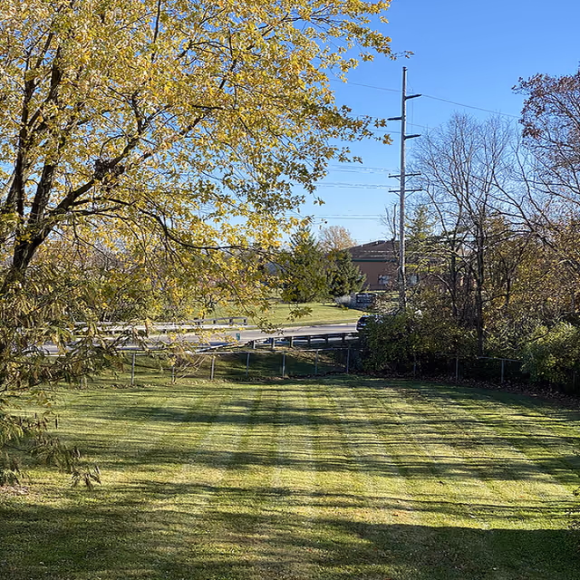 A grassy outdoor area with neatly mowed lawn, surrounded by trees with some yellowing leaves indicating autumn. In the background, there is a road with a guardrail, utility poles, and a brick building partially visible behind the trees.