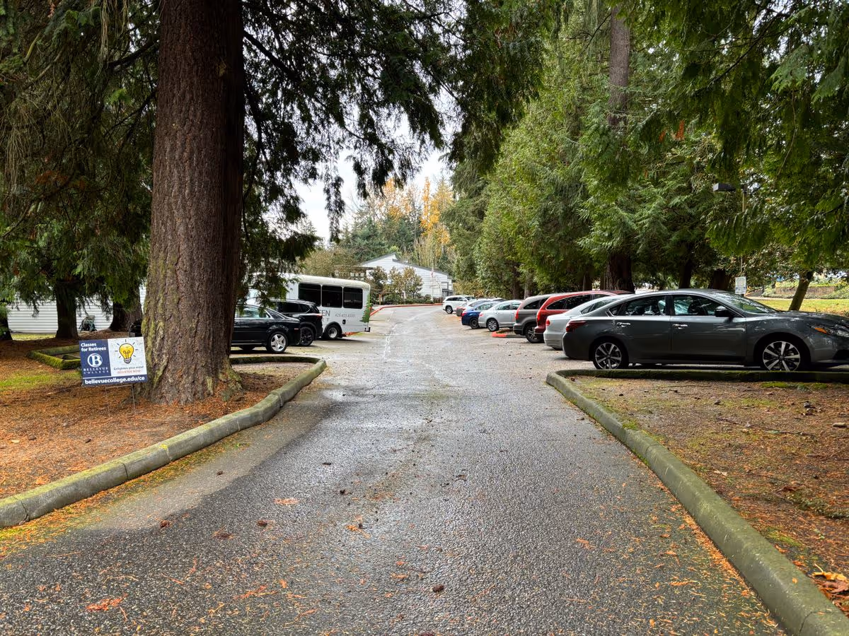 Tree-lined driveway and parking lot with cars parked on both sides leading to a low building in the background.
