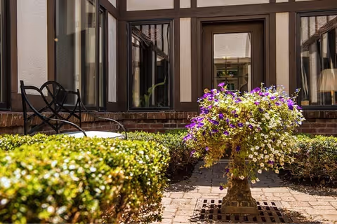 Sunlit courtyard with trimmed hedges, a pedestal planter of purple and white flowers, and building windows in the background.