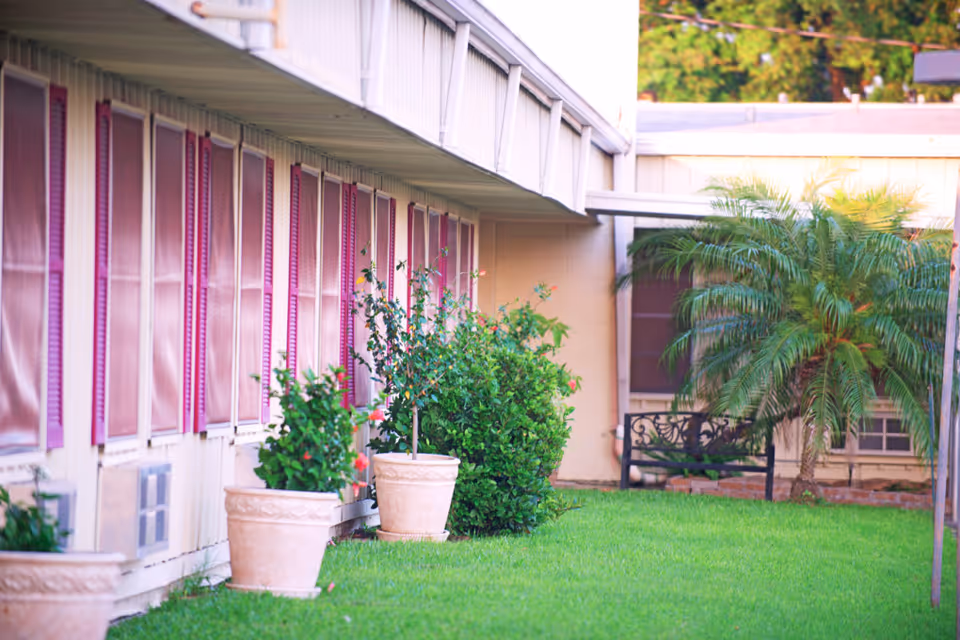 Outdoor view of a building with multiple windows featuring purple shutters. There are several potted plants and bushes along the side of the building, a green lawn, and a black metal bench near a palm tree.