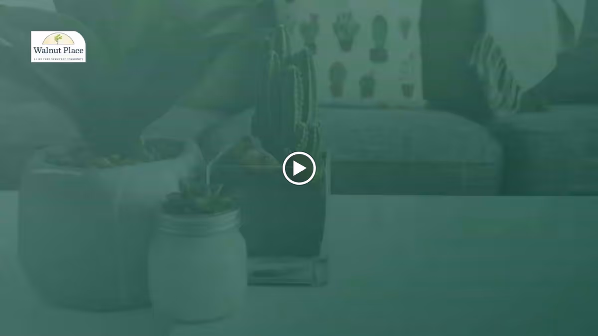 A close-up view of a table with small potted succulent plants and a cactus in a glass container, with a blurred background showing a couch and wall art.