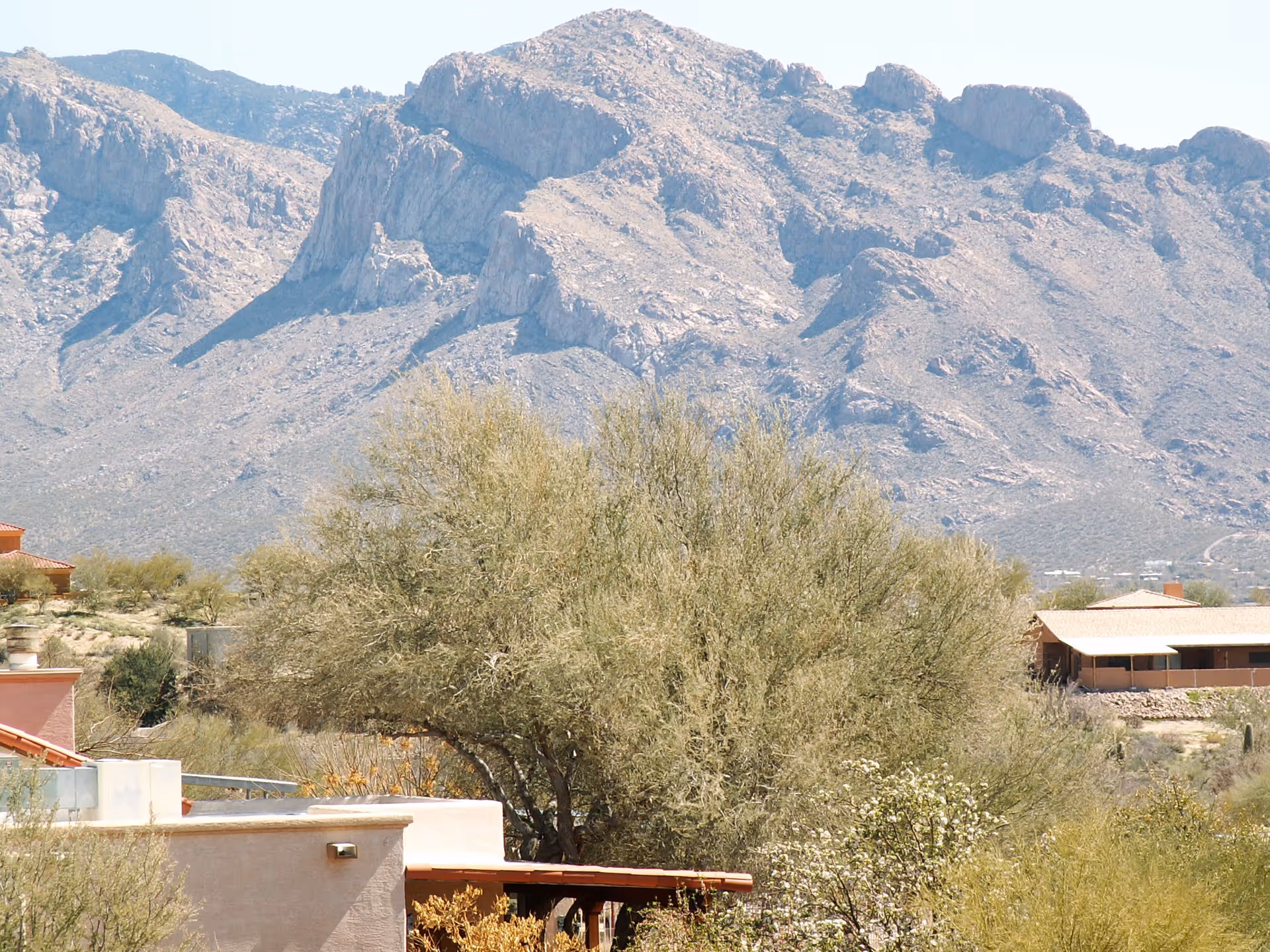 View of a desert landscape with large rocky mountains in the background, sparse vegetation including trees and shrubs, and a few buildings with flat roofs in the foreground.