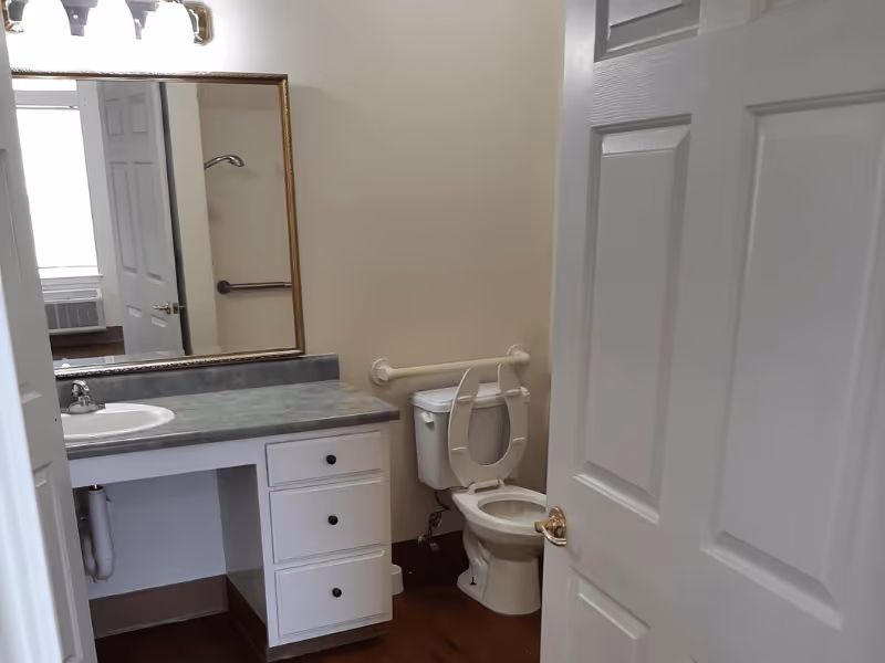 A bathroom with a white toilet that has the seat raised, a grab bar on the wall behind the toilet, a countertop with a sink, a large mirror above the sink, and a partially open white door.