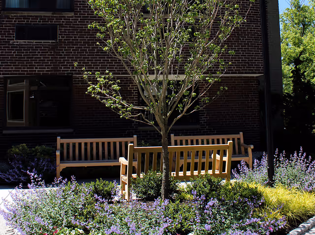 Outdoor seating area with three wooden benches arranged around a small tree and surrounded by purple flowers and greenery, set against a brick building wall.